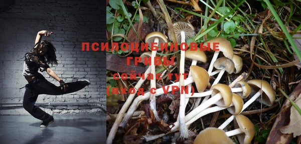 стаф Верхний Тагил